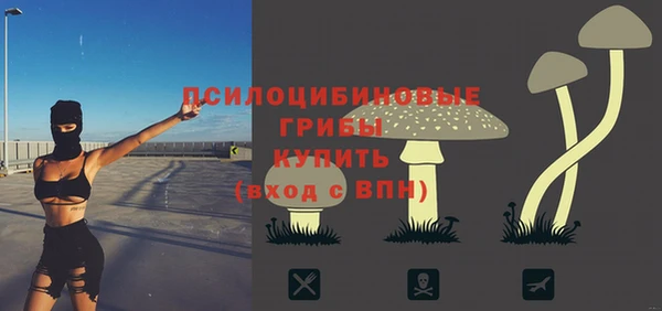 соль ск Михайловка