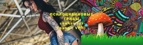соль ск Михайловка