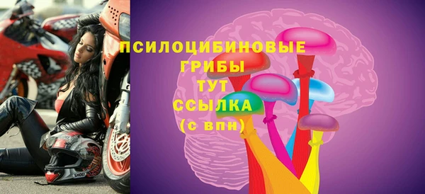 СК Михайлов