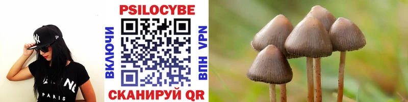 Псилоцибиновые грибы мицелий  Оренбург 